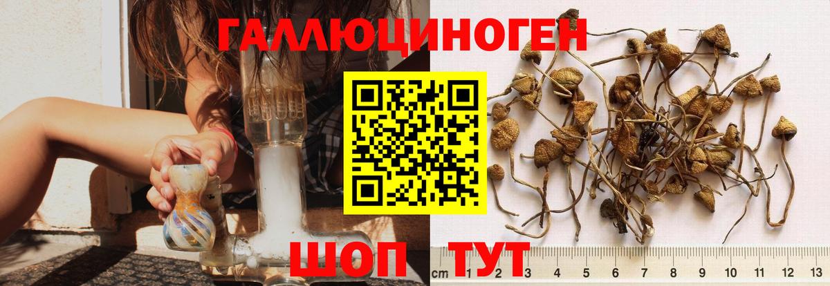 Галлюциногенные грибы мухоморы Первоуральск